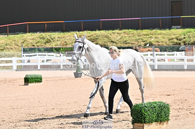 240718A-105240-00997 - Trot Up 11am to 12pm