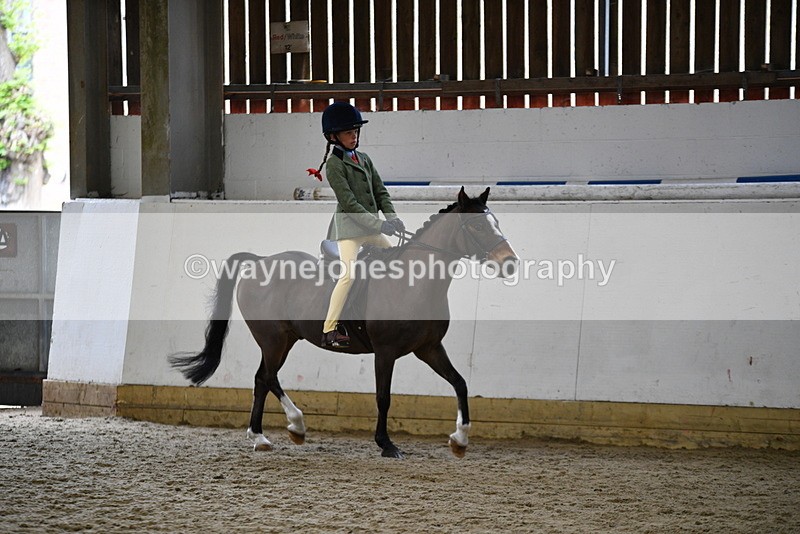 WJ5_6346 - Class 9 Ridden Veteran