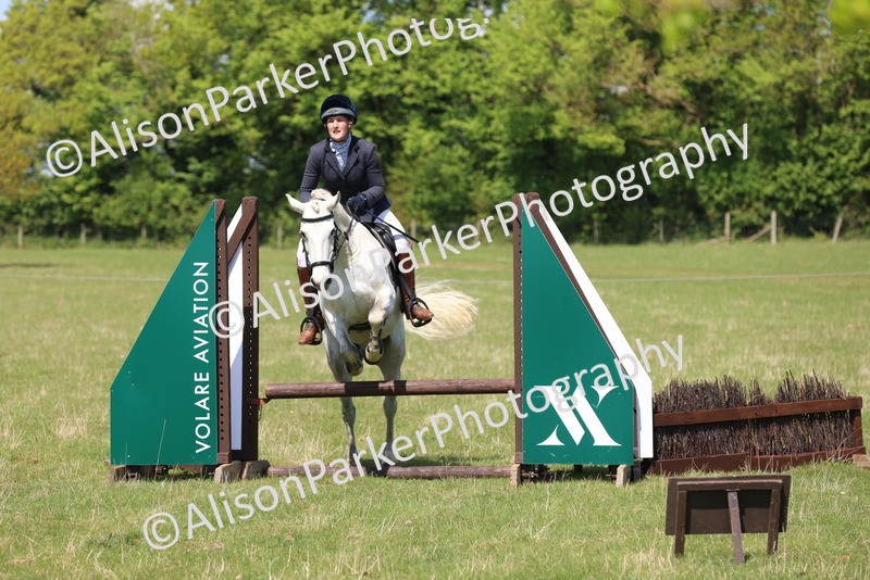 20250427-2617 - Class 20 - Working Hunter Ponies