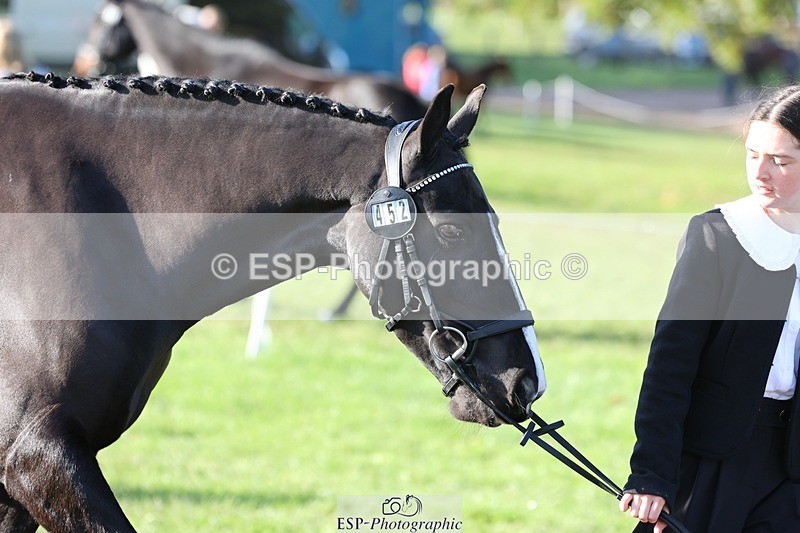 241027-095935-15624 - 452-Eleanor.Blewitt-CARRY.ON.PRINCESS