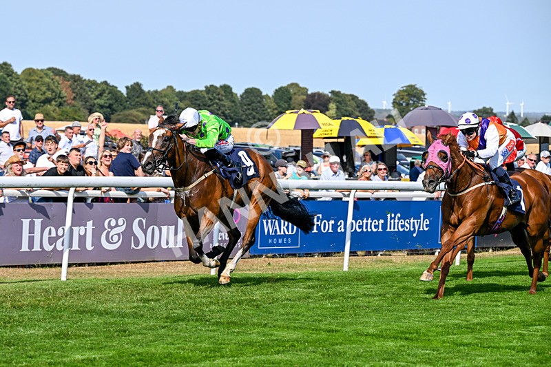 130826-Race 4-Shazani-9094 - Race 4 15.45pm Connexin Super Fast Sprint Handicap