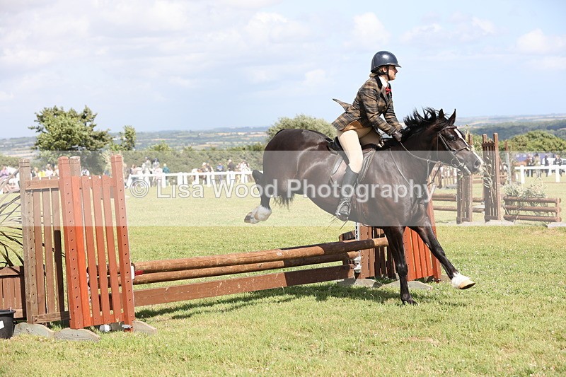 JPP_2214 - Class 19: Working Hunter 60cm