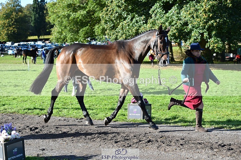 231022-110000-23651 - 404-ATLANTIC.COAST-Nicky.Ralph-TrotUp+SJ