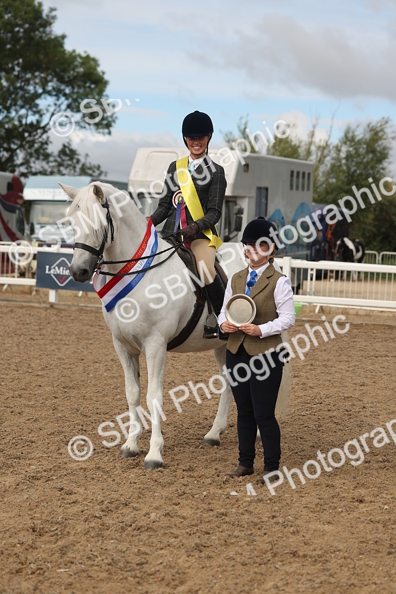 SBM_02012 - Class 14 - Ridden M&M Wildcard