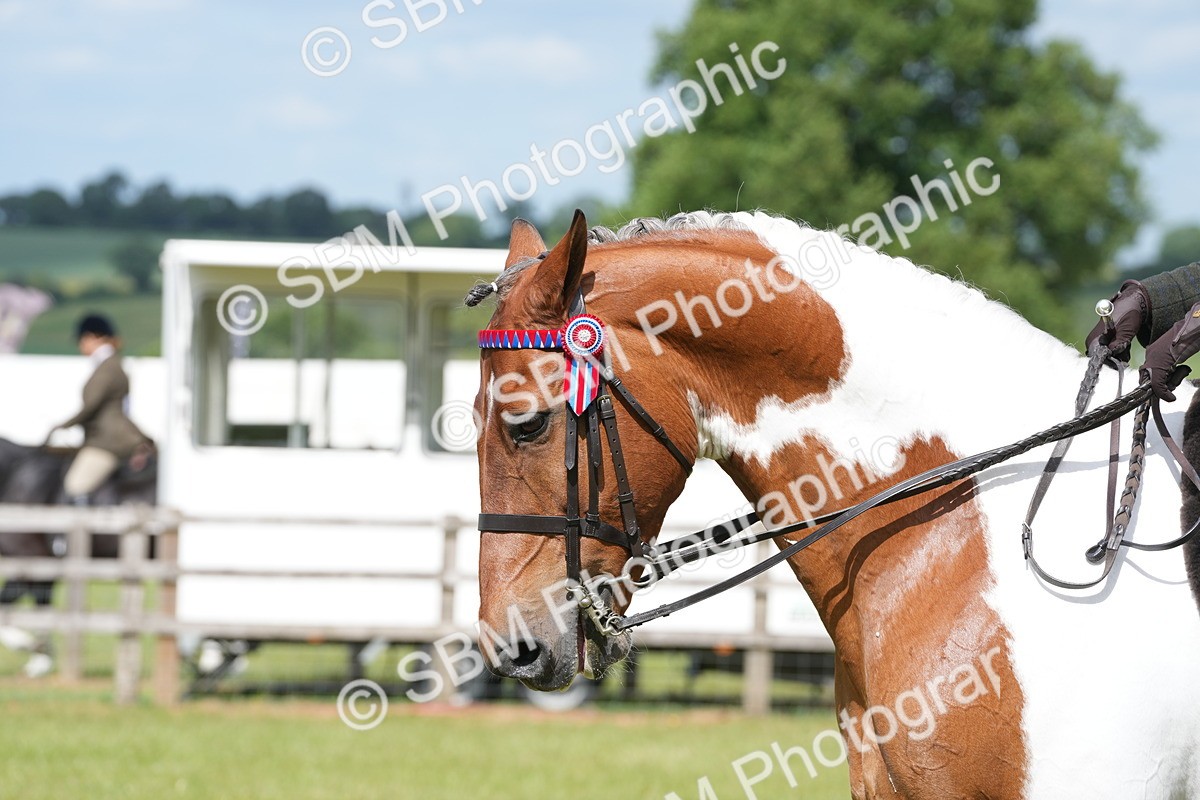 SBM_17608 - Class 107-108 - LIHS BSPS Performance Coloured Horse Pony