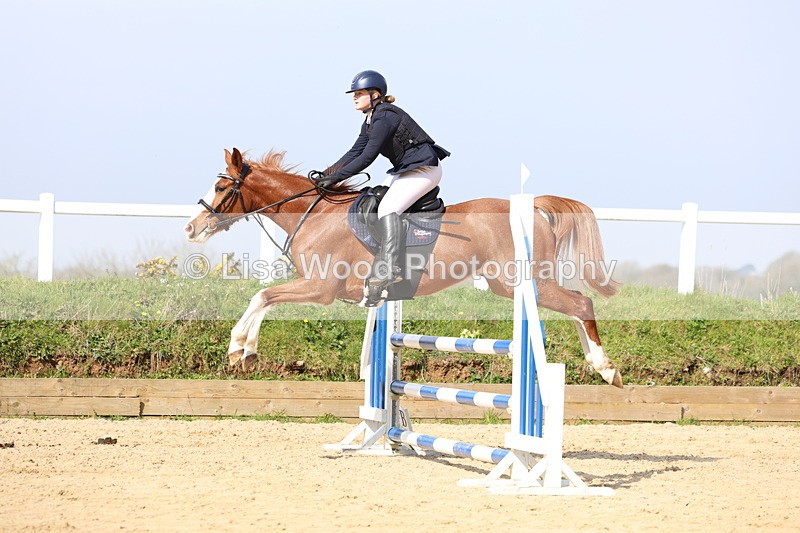 3E7A6574 - Class 4: Senior British Novice/90cm open