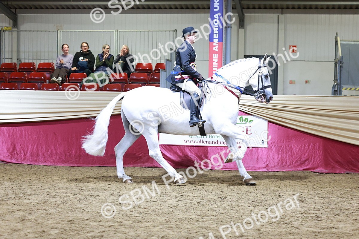 SBM_21171 - class Q - Ridden Horse Champ