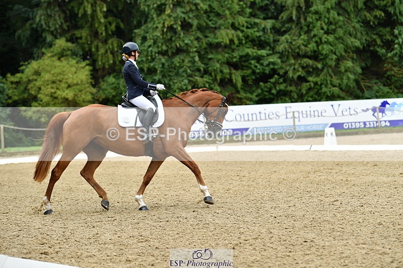 250718A-110212-00366 - 112-Amelia.Antippas-Romanno.Lady.Gaga