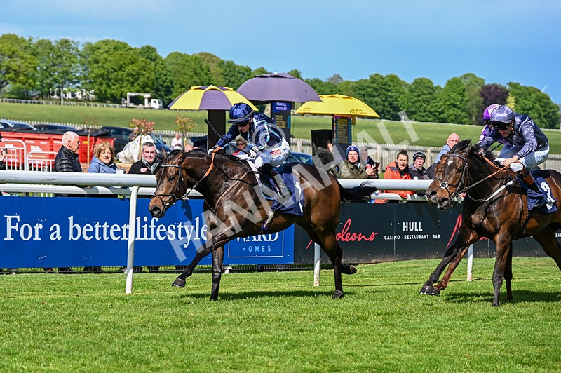 120526-Race 3-Merlier-7810 - Race 3 3.30pm Bowel Cancer Screening Programme Saves Lives Selling Stakes