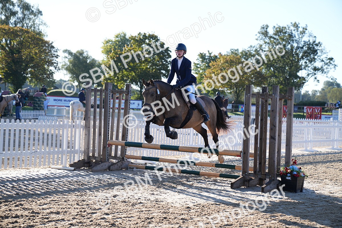 SBM_14073 - J59 - Clear Round - 65cm