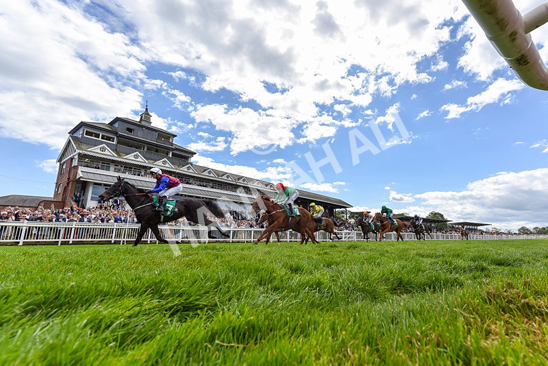 030525-Race 2-Under The Radar-1314 - Race 2