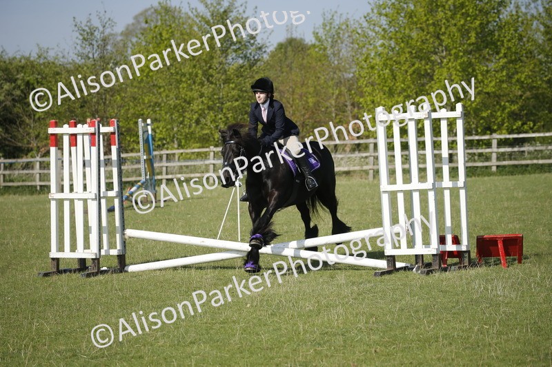 20250427-0386 - Class 12 - Rookie Jumping 40cm