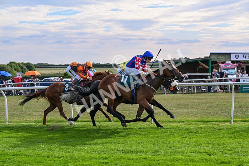 260826-Race 6-Lanarra-3859 - Race 6 16:52 Celebrate National Racehorse Week Classified Stakes