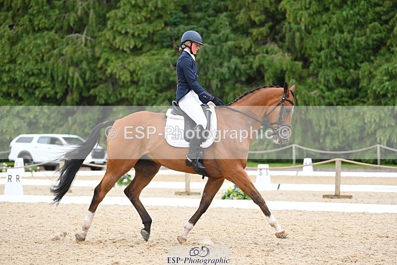 230813-132852-07576 - Cls 13 Medium Bronze 13.15 to End