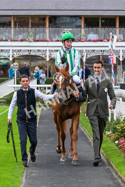 250725-Race 5-Sand Gazelle-0746 - Race 5 7.48pm British EBF Lyric Fillies' Stakes