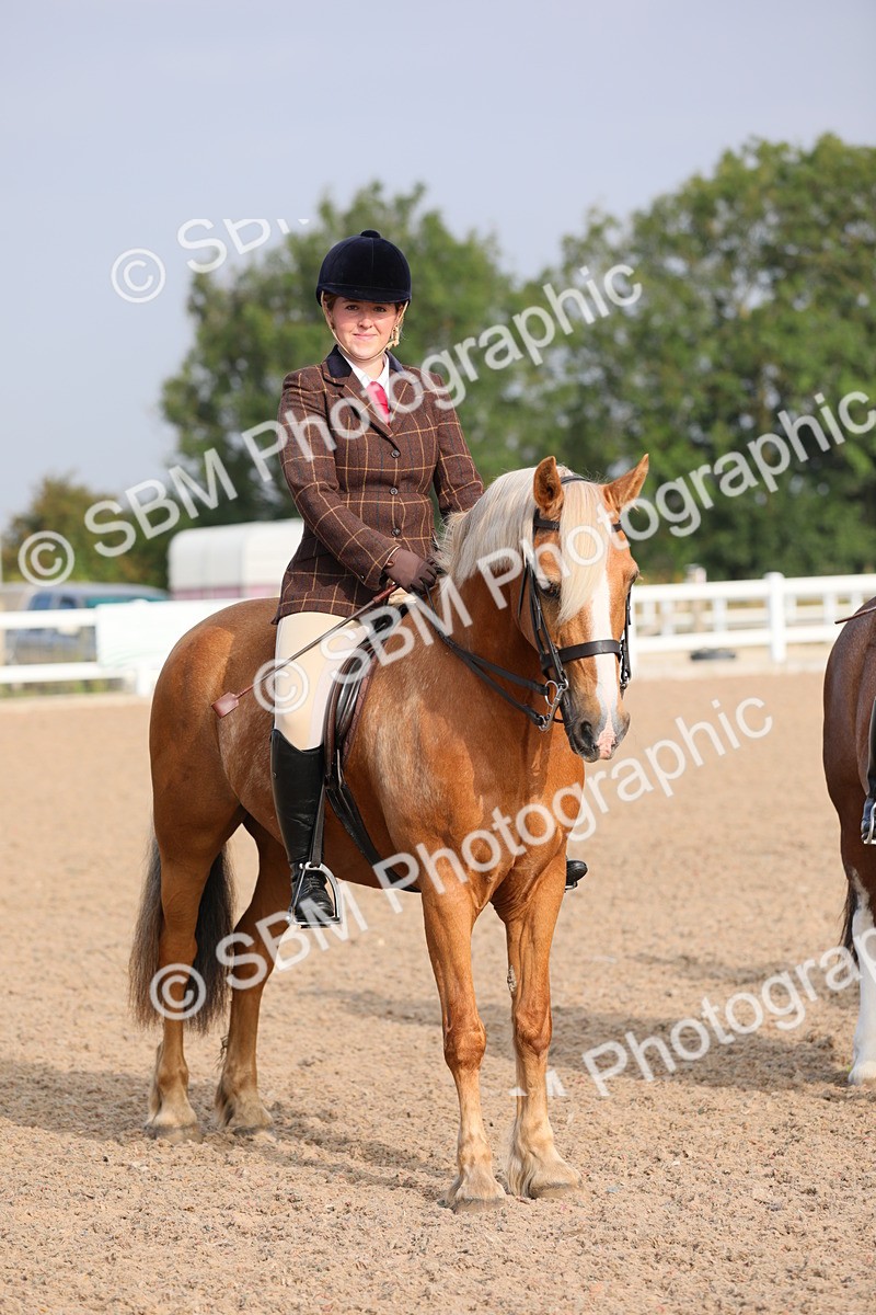 SBM_10140 - Class 302 Ridden M&M -Large Breeds