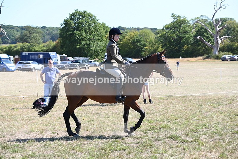 WJ6_8365 - Class 37a Best Loan Pony Ridden