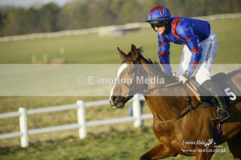 PtP 270222 732 - South & West Wilts Point-to-Point Larkhill 27/02/22