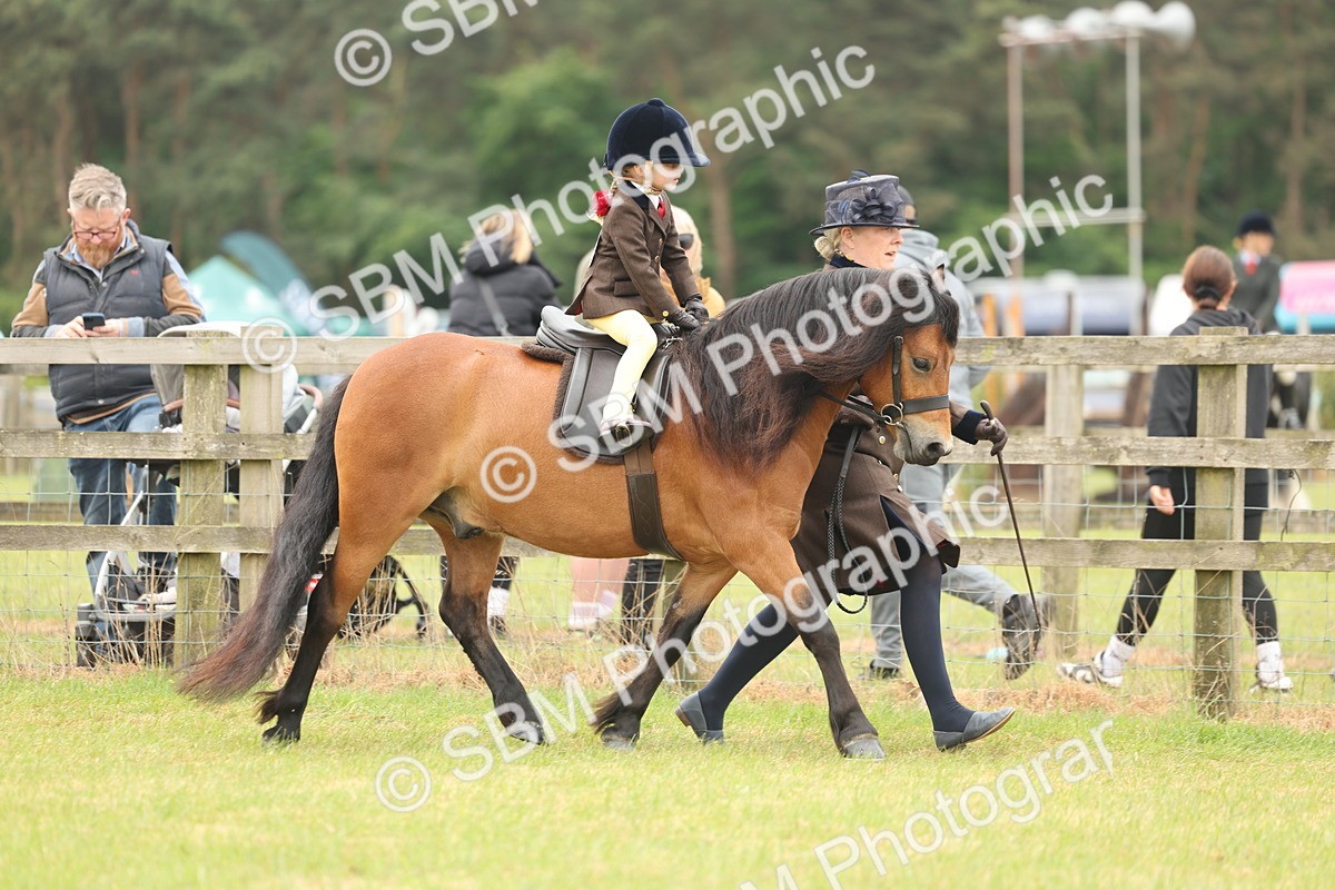 SBM_06715 - Class 74-75 - M&M Lead Rein and First Ridden Pony