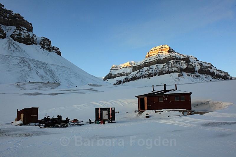 Bjonahamna 0053 - Winter in the daylight