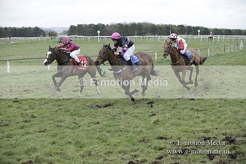 PtP 150320 0873 - New Forest Point-to-Point Larkhill 15/03/20