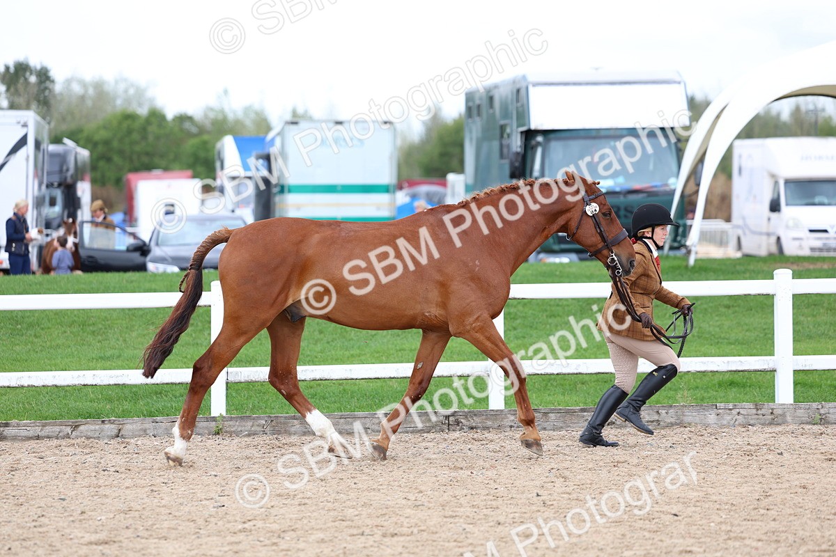 SBM_05723 - Class 28 - IH Veteran Horse