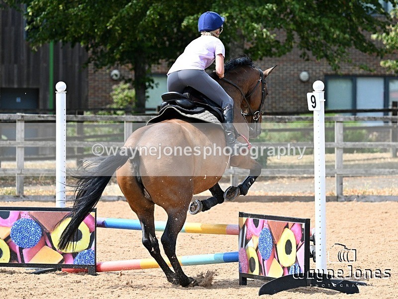 WJ7_6743 - Show Jumping at BCA