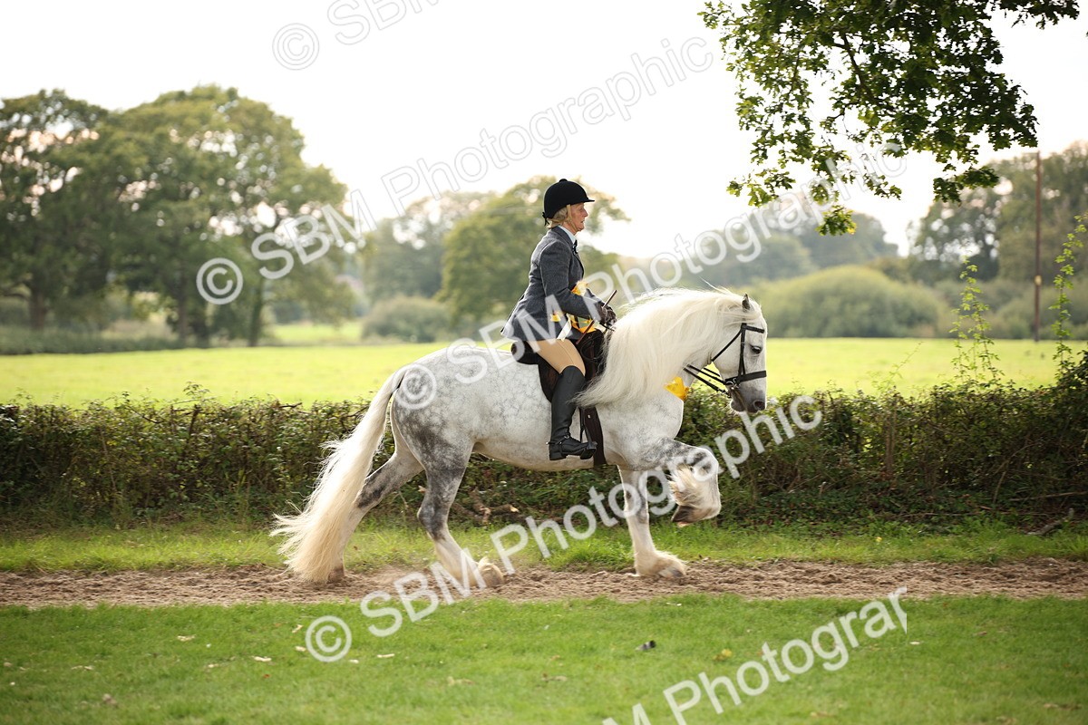 SBM_73642 - Ridden Horse Supreme Championship