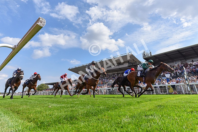 240825-Race 3-Elara May-0234 - Race 3