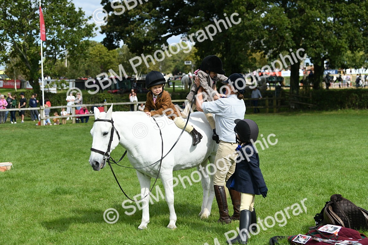 SBM_46799 - S12 - Family Horse & Pony