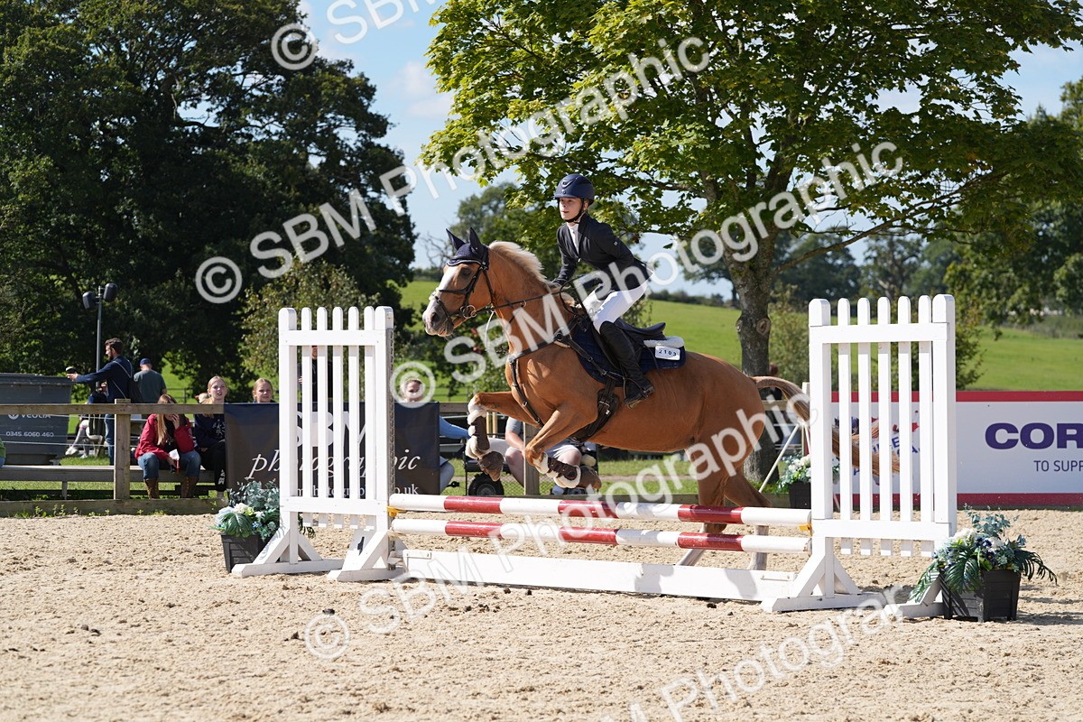 SBM_38857 - J21 - Junior Horse 60cm Championship