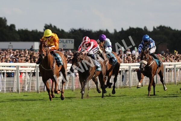 yr20082022r6-9 - Race 6 4.45 pm Julia Graves Roses Stakes