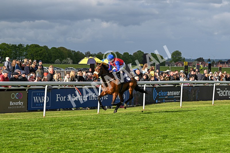 050525-Race 7-Spring Chorus-5578 - Race 7