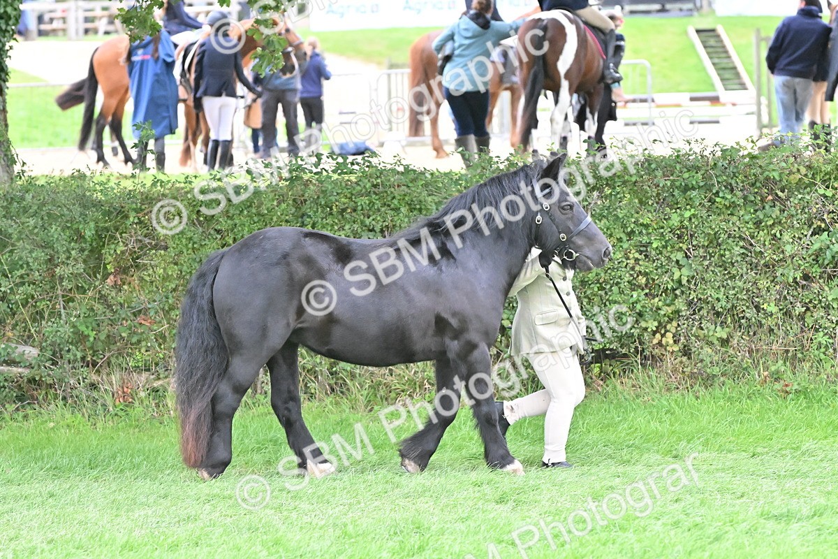 SBM_66790 - S41 - Junior Handler 8 Years & Under