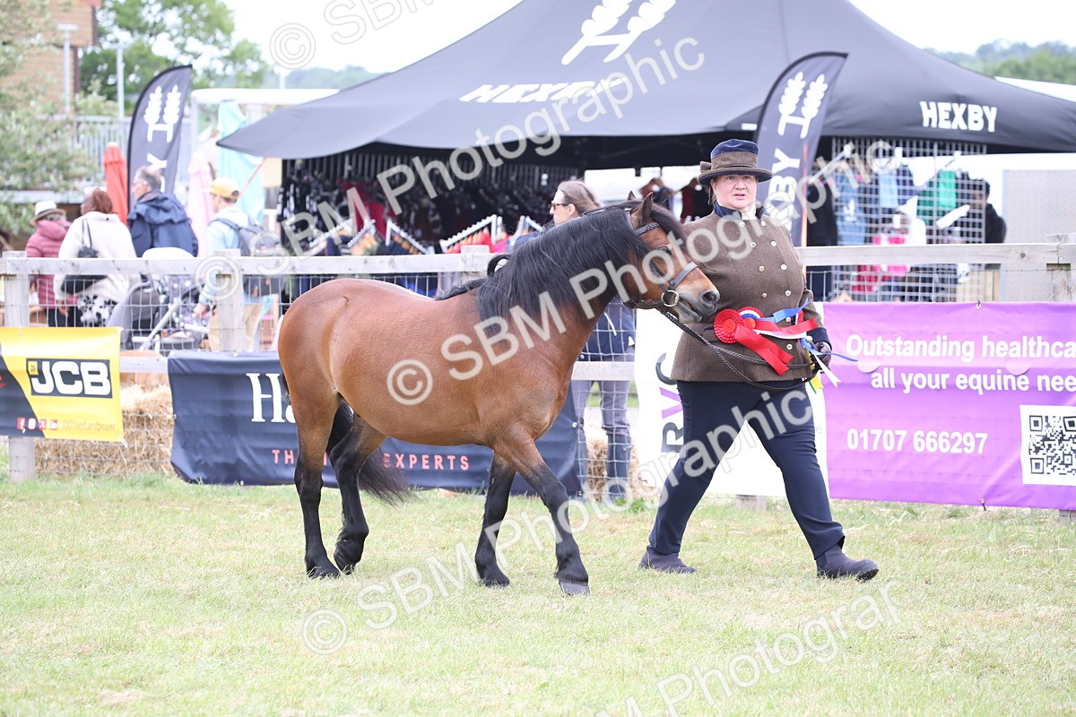 SBM_09713 - Ch 50 - Price Family Supreme In Hand