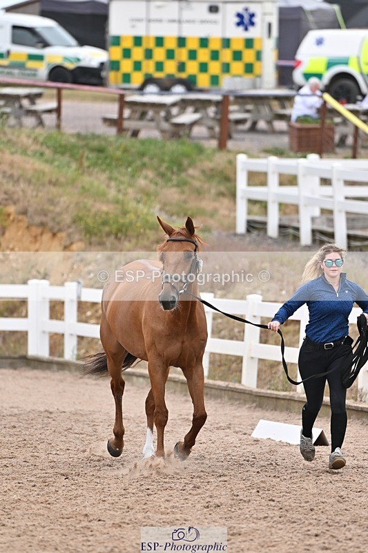 250716-141105-00952 - Trot Up 1.30 to 2.30