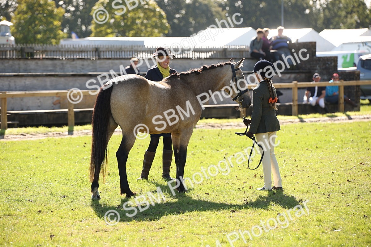 SBM_36642 - S10 - Best In Hand Horse & Pony