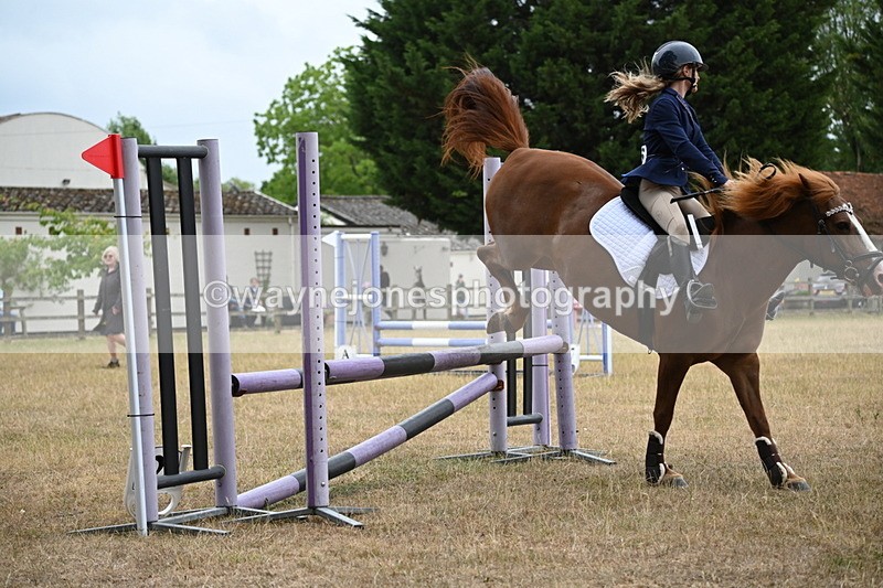 WJ6_0608 - Class 14 Intermediate Jumping 75cm