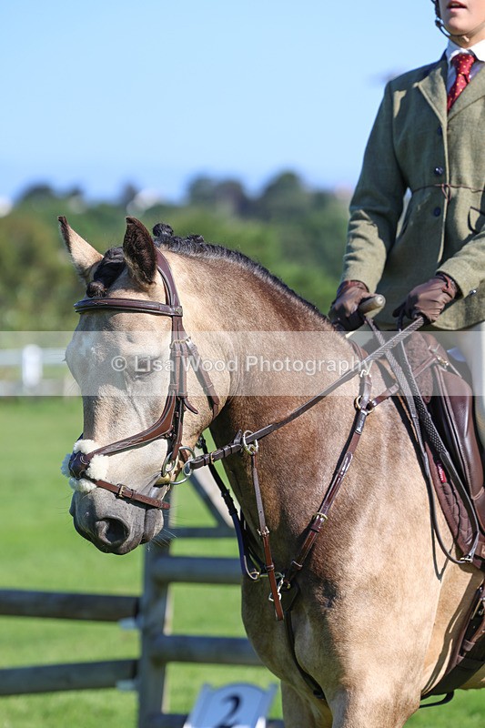 3E7A7726 - Class 2: Open Working Hunter pony