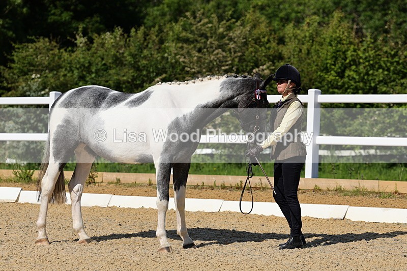 1X9A0761 - Class 4: Youngstock 1, 2, 3 year old to exceed 153cm