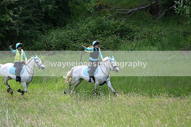 WJ7_8706 - Group 3 10:45am