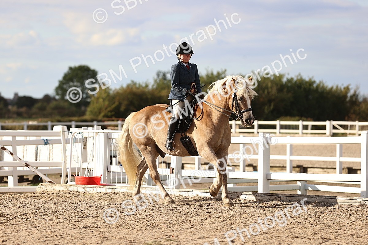 SBM_18313 - Class 423 - Equitation (best rider) Adult