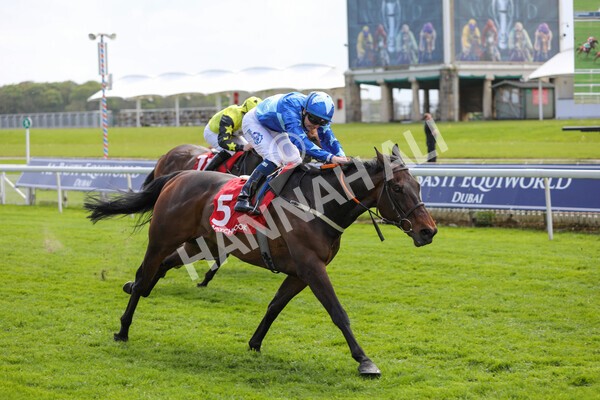  - Race 3 2.40pm The Matchbook Betting Podcast Hambleton Stakes
