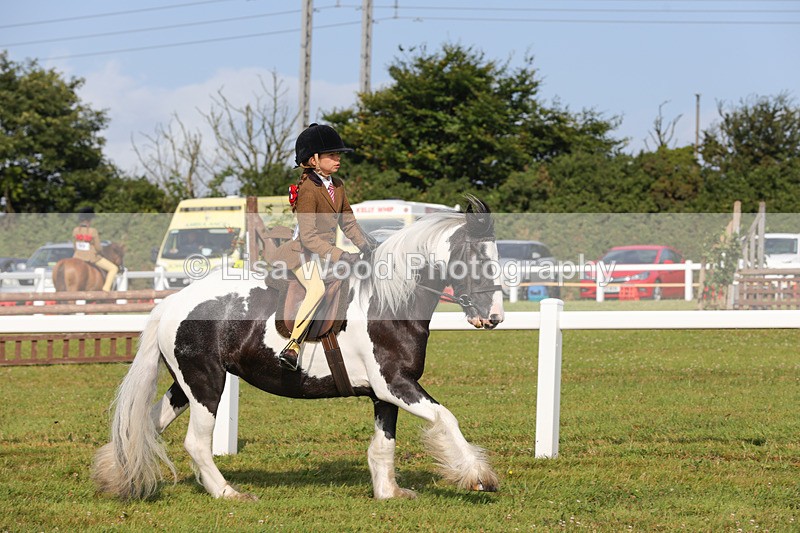 1X9A3224 - Class 28: Ridden Native/Trad Coloured Pony