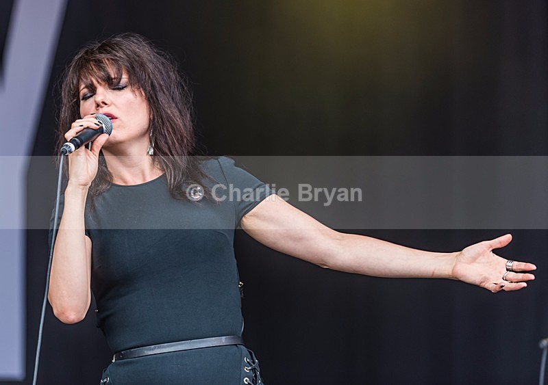  - Cornbury Festival 2017, Last Ever?