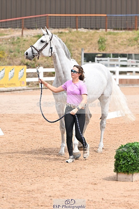 250716-142553-01085 - Trot Up 1.30 to 2.30