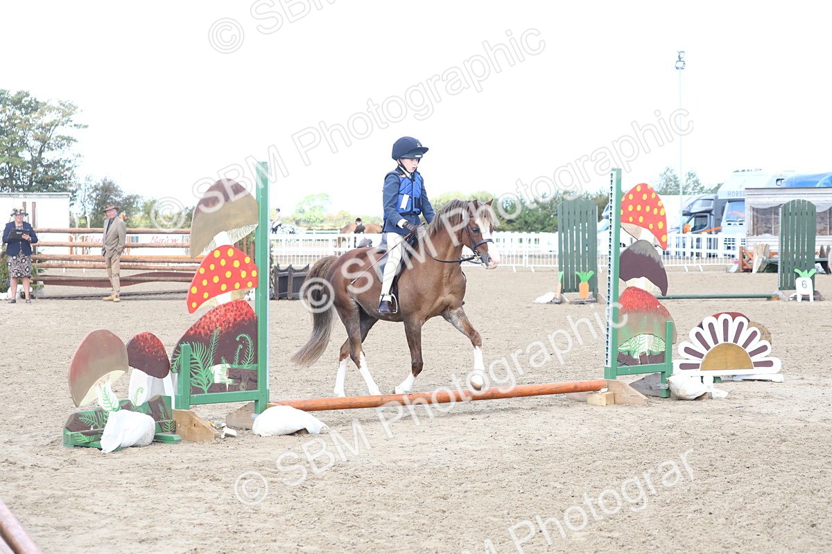 SBM_09098