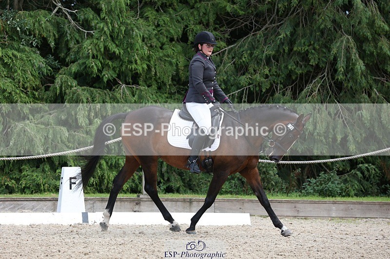 230812-135721-04348 - Cls 5 Novice Bronze 13.40 to 14.45 break