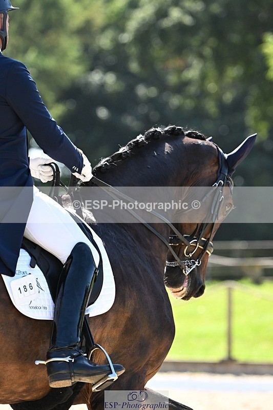 240811-150702-06604 - 186-Jonathan.Hansen-Summerhouse.Delano