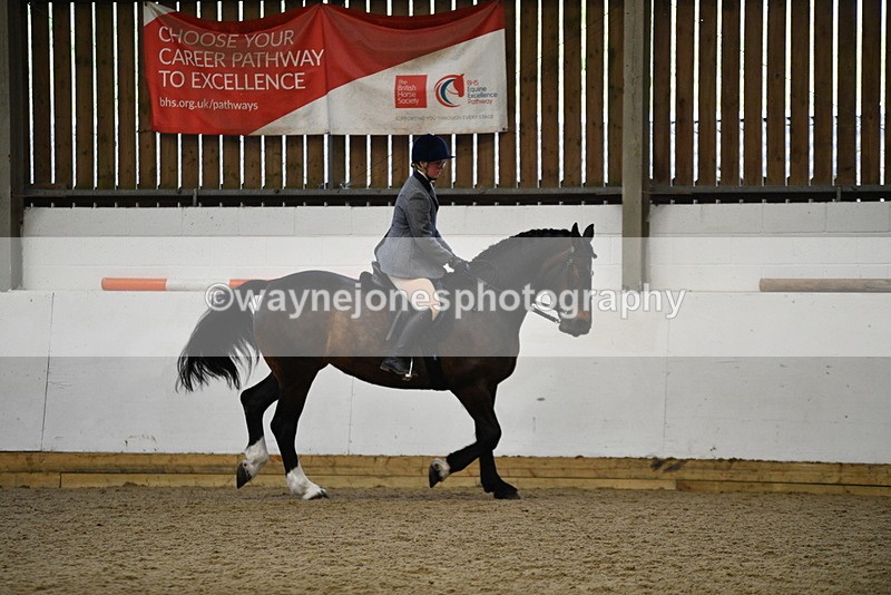 WJ5_7767 - Class 13 Ridden Part Breed